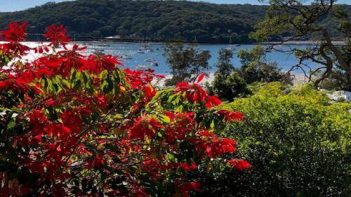 Photo of Others in Hardys Bay