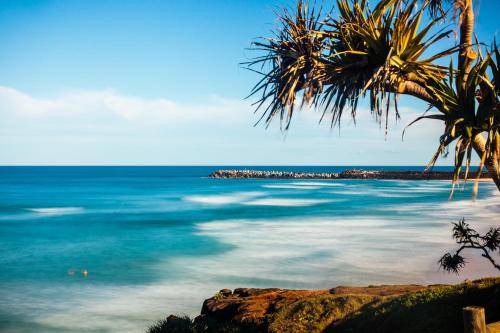Photo of Others in East Ballina