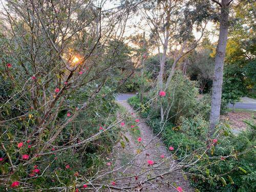 Photo of Outdoor in Bellingen