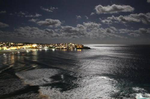 Photo of Others in Bondi Beach