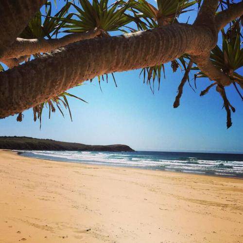 Photo of Others in Moonee Beach