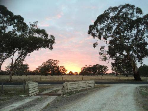 Photo of Outdoor in Tatiara