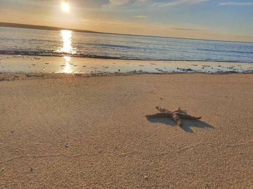 Photo of Others in Baudin Beach