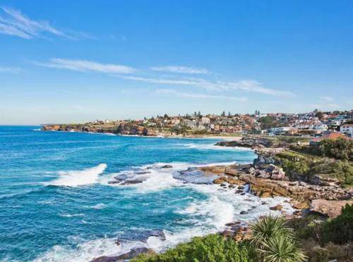 Photo of Outdoor in Tamarama