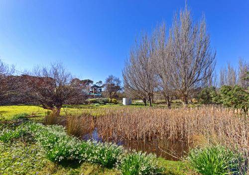 Photo of Others in South Bruny