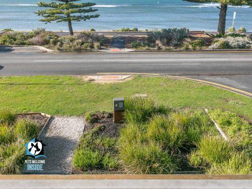 Photo of Others in Encounter Bay