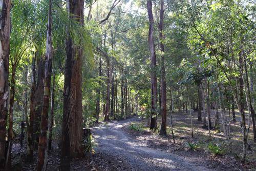 Photo of Others in Landsborough