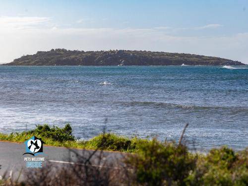Photo of Others in Encounter Bay