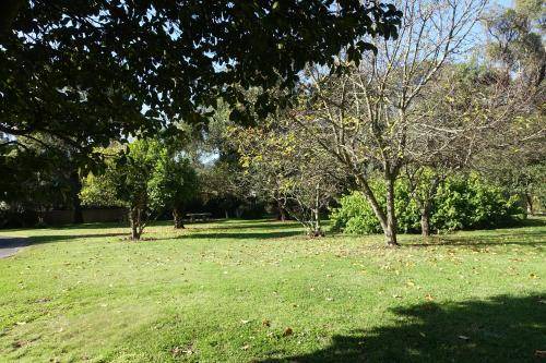 Photo of Others in Healesville