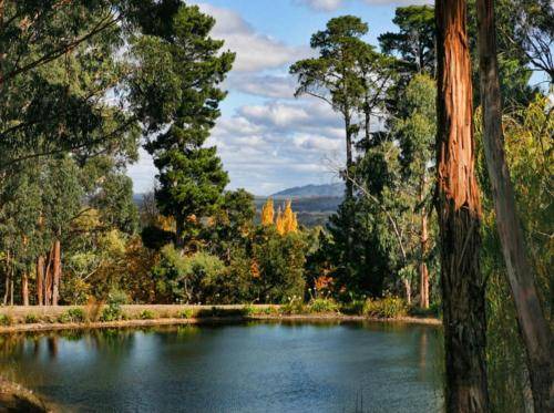 Photo of Others in Mount Macedon