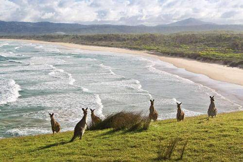 Photo of Others in Moonee Beach