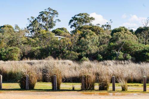 Photo of Others in Anglesea
