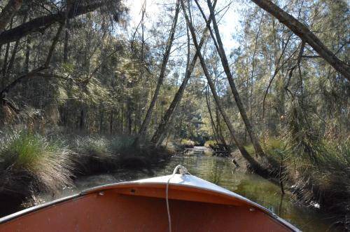 Photo of Others in Lower Mangrove