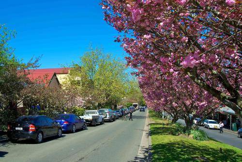 Photo of Others in Leura