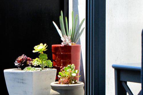 Photo of Others in Fitzroy