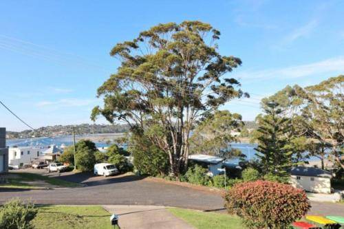 Photo of Others in Merimbula