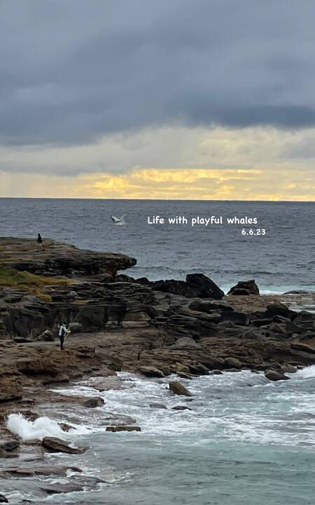 Photo of Others in Maroubra