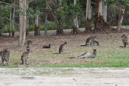 Photo of Others in Beedelup