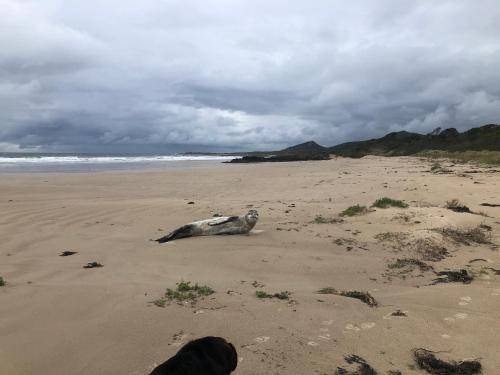 Photo of Others in Rocky Cape