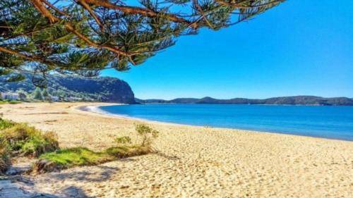 Photo of Others in Pearl Beach