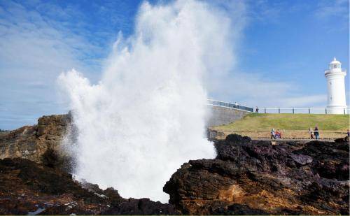 Photo of Others in Kiama
