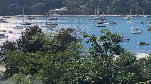 Photo of Others in Hardys Bay