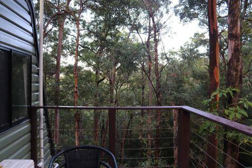 Photo of Others in Landsborough