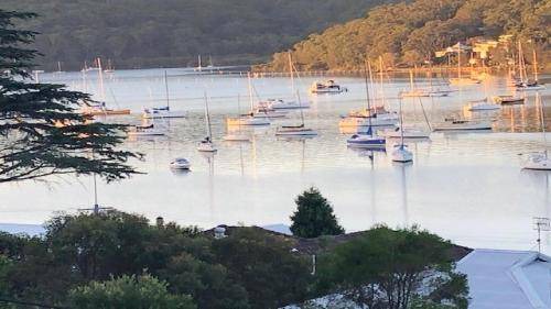 Photo of Others in Hardys Bay