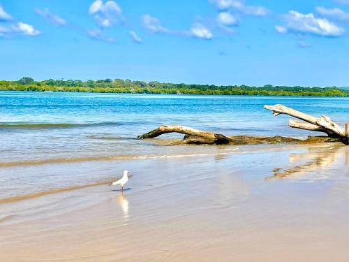 Photo of Others in East Ballina