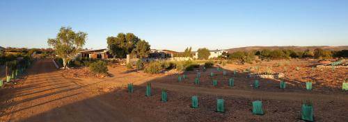 Photo of Others in Kalbarri