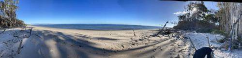 Photo of Others in Bongaree