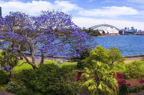 Photo of Outdoor in Potts Point