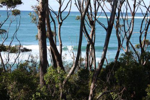 Photo of Others in Bendalong