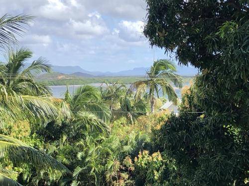 Photo of Others in Cooktown