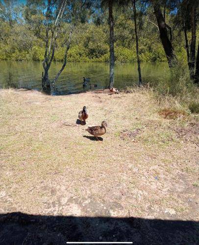 Photo of Others in West Gosford