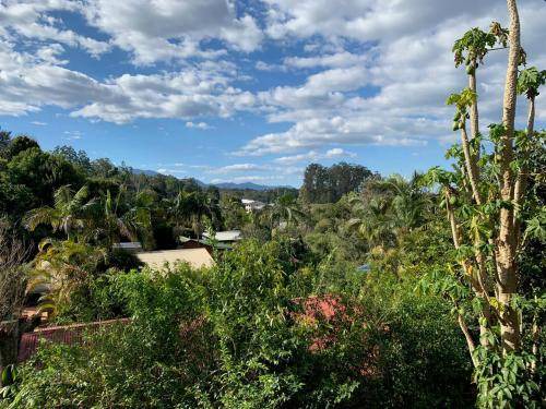 Photo of Outdoor in Bellingen