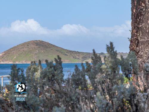 Photo of Others in Encounter Bay