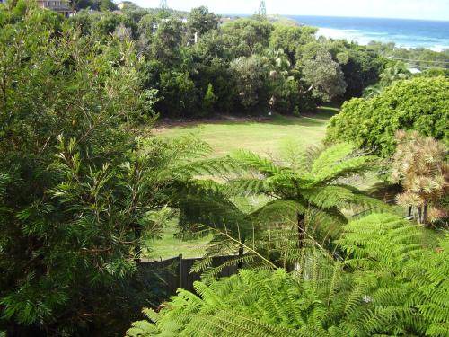 Photo of Others in Port Macquarie