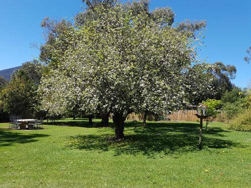Photo of Others in Healesville