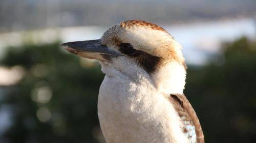 Photo of Others in Binalong Bay