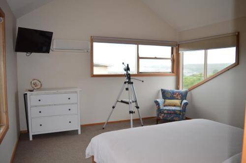 Photo of Others in Port Campbell