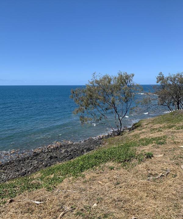 Photo of Outdoor in Coral Cove