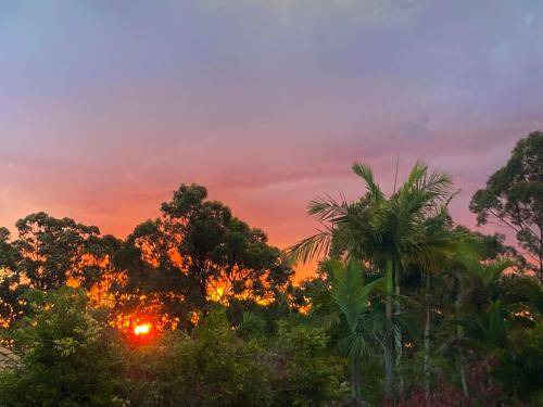 Photo of Others in Buderim