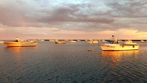 Photo of Others in Port Macdonnell