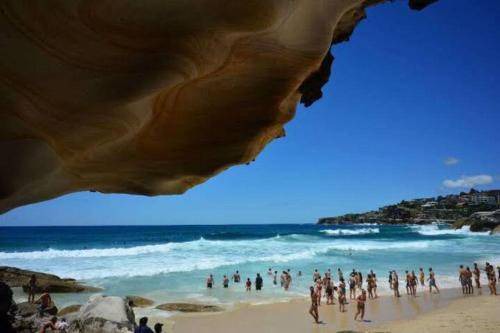 Photo of Others in Tamarama