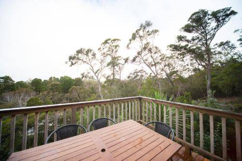 Photo of Others in Katoomba