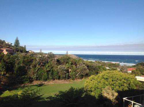Photo of Others in Port Macquarie