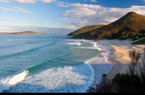 Photo of Others in Nelson Bay
