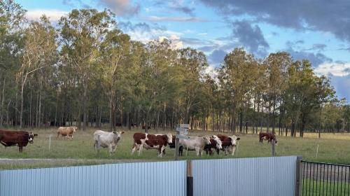 Photo of Others in Pokolbin