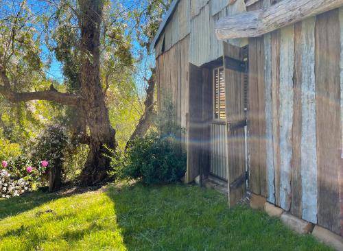 Photo of Others in Wollombi